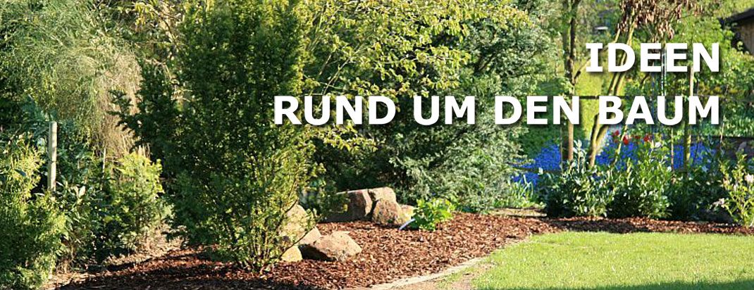 Pro Baum in Göttingen Pflanzarbeiten